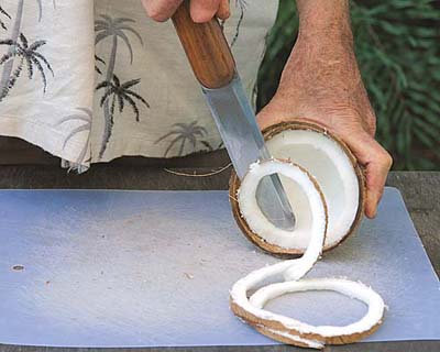 Coconut slicing