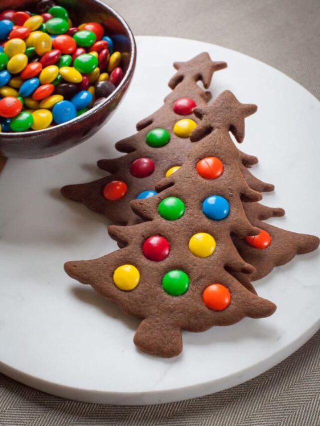 Christmas cookie decoration kit